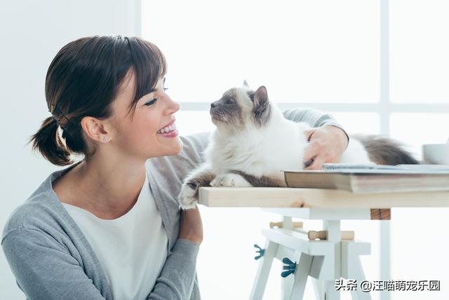 男生对于养猫的女生怎么看