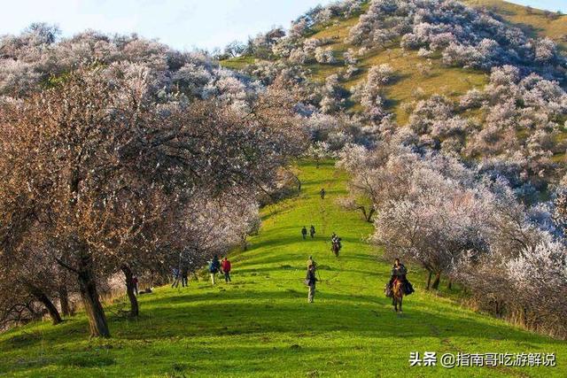 伊犁哈萨克自治州奎屯市纸飞机账号购买服务