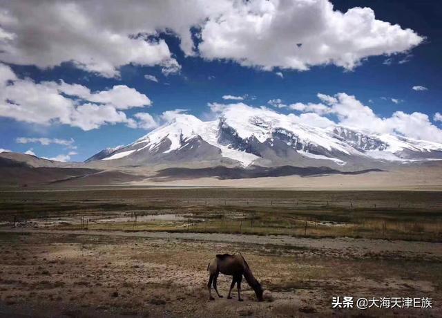 旅行保险哪个好，出国旅行保险哪个好