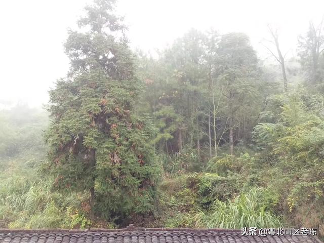 专业牛舍搭建网站
