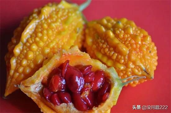黄色的很硬的水果是什么(图6)
