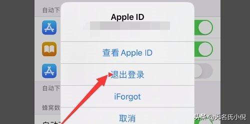 apple官方下载-您好，苹果电脑怎么下载WPS和Excel？