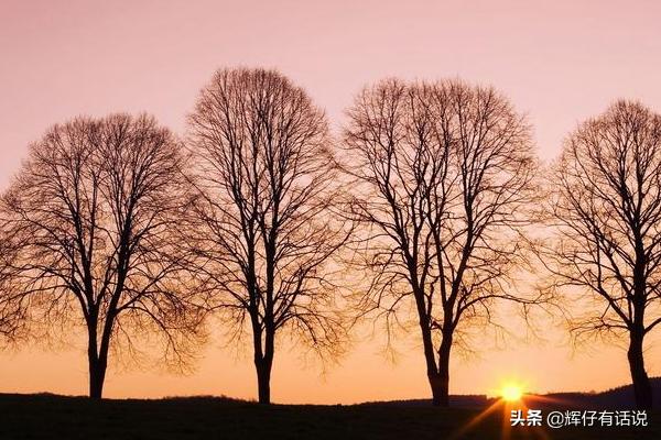 大学生旅游市场调查方案 怎么样写