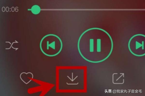 qq音乐如何下载mp3格式-QQ音乐如何下载mp3格式歌曲