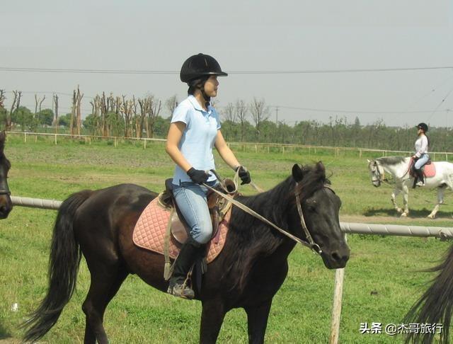 为什么旅行社拿到的机票就是比直接去买的便宜