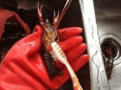 麻辣小龙虾怎样做-麻辣小龙虾怎样做好吃