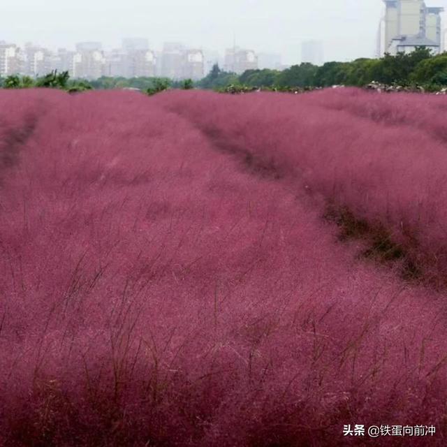 大爷晨练捡到80多万 大爷晨练捡到80多万块钱