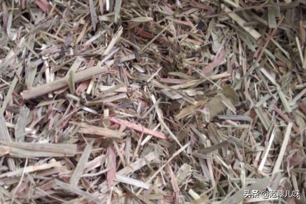 如何给荷兰猪兔子宠物做草饼的制作方法自制草饼,第3张