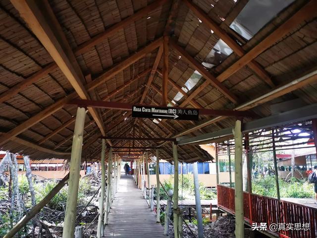 沙巴，这三个岛－环滩岛、蓝环岛、迪加岛，选择一日游哪个岛更好玩？：亚庇旅游攻略