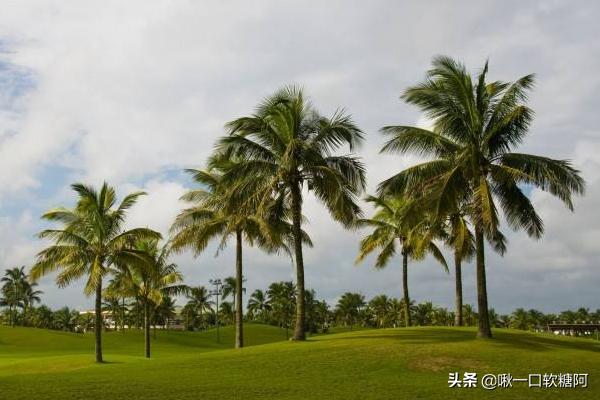 琼海特色美食有哪些（琼海杂粮粿的做法？）