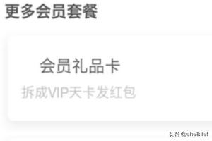 爱奇艺vip爱奇艺vip可以几个人一起使用