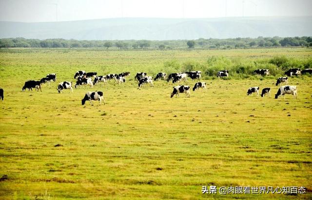 河北情侣自驾游路线，河北情侣自驾游路线图片