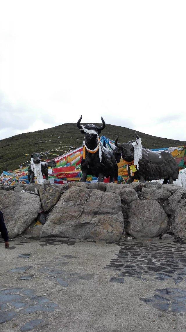 寒假西藏旅游穿搭， 寒假西藏旅游穿搭图片