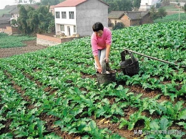 宝宝种植迷你小花园图片,宝宝种植迷你小花园图片大全