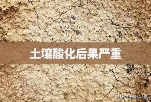 土壤酸化怎么改善好一点(图1)