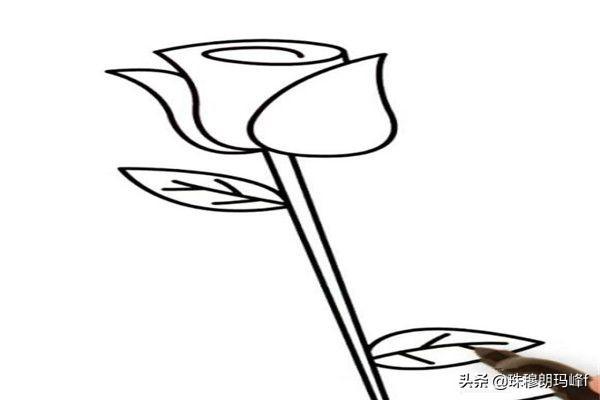 窗台上的花卉简笔画