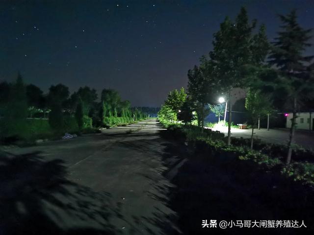 湘潭县今日猪价趋势图-湘潭县今日猪价趋势图最新