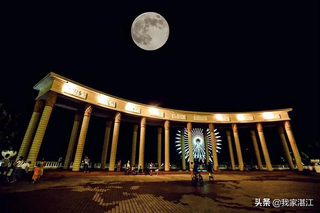 记宁省海城市生猪价格令天-海城生猪价格今天的