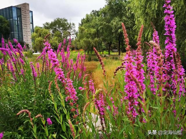 70年代，没手机，没电脑，人们玩什么呢？