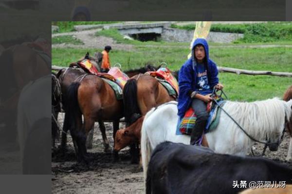 牧场 旅游景点大全， 牧场 旅游景点大全图片