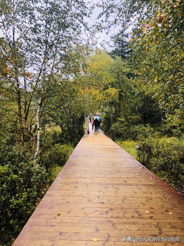 迪庆藏族自治州香格里拉市纸飞机账号购买