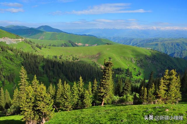 新疆旅游骑马穿搭， 新疆旅游骑马穿搭图片