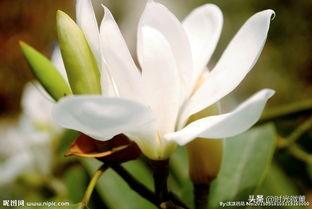 y液香水系统（ky是什么意思？）