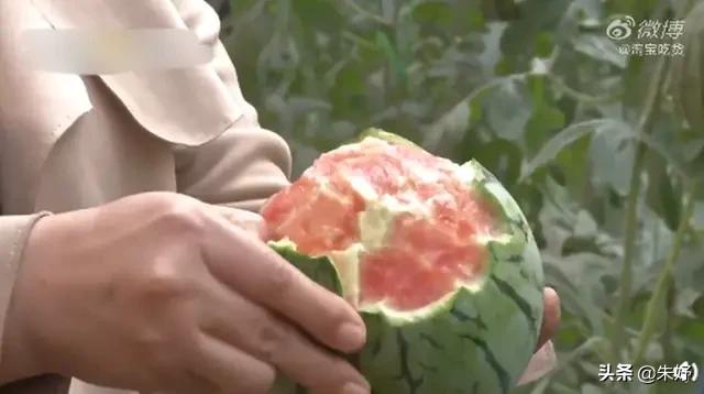 怎么切西瓜用手掰着吃