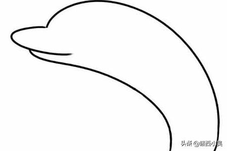 动物怎么画简笔画（夏天的动物怎么画简笔画）