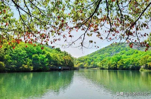 苏州一日游必去景点免费(图8)