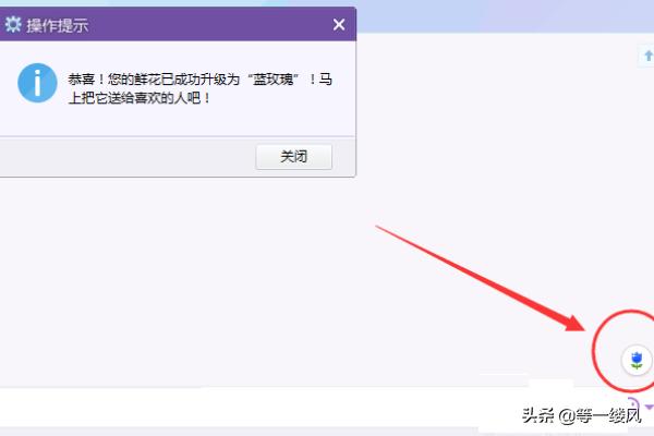YY刷鲜花怎么保养(图7)