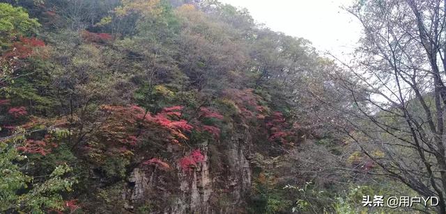 秋天国内最佳旅游地