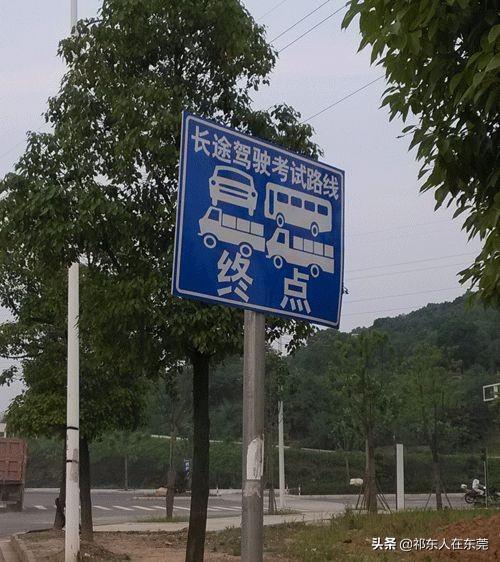 科目三凭啥被全网骂