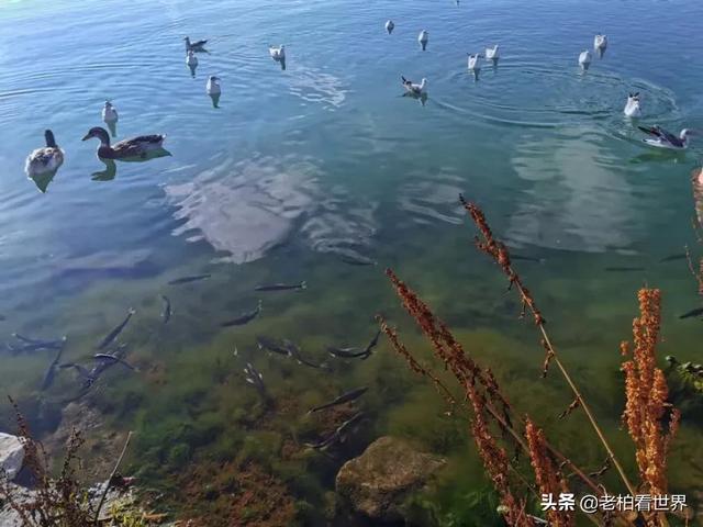 打算去青海玩，都有什么景点，需要带什么衣服