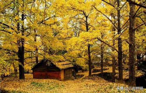 几月份去桂林最好？