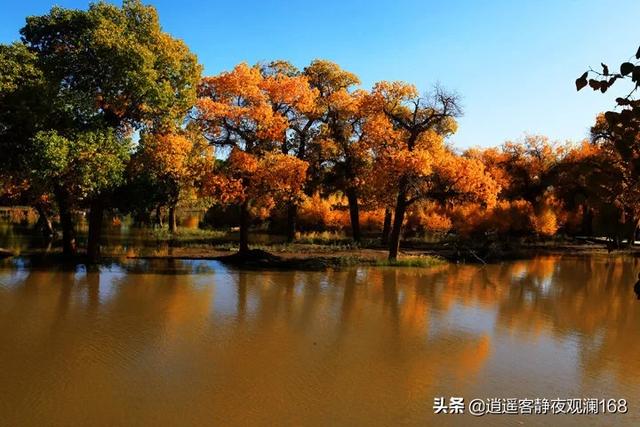 红原旅游城市攻略路线，红原旅游城市攻略路线图