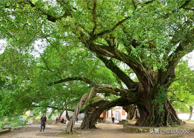 桂林旅游景点图片-桂林旅游景点图片大全