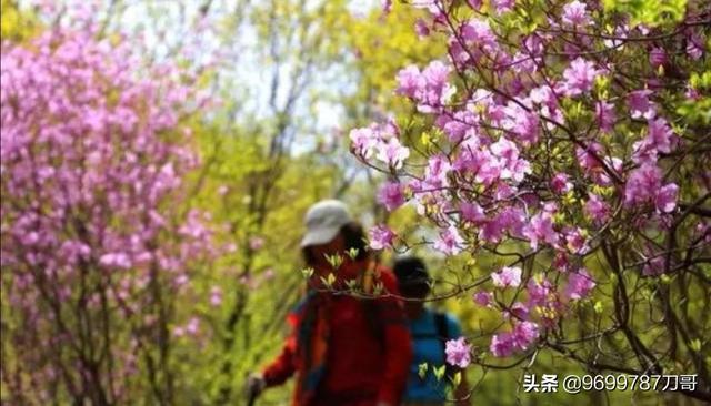 浙南健康小镇景观设计浙南健康小镇景观设计图