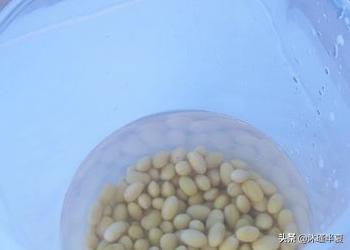 黑芝麻豆浆-黑芝麻豆浆的功效与作用