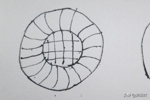 花的30种简笔画