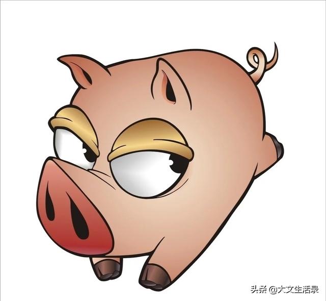 养猪的饲料-养猪的饲料主要是什么