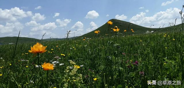 国内六月哪里旅游好玩,国内六月哪里旅游好玩一点