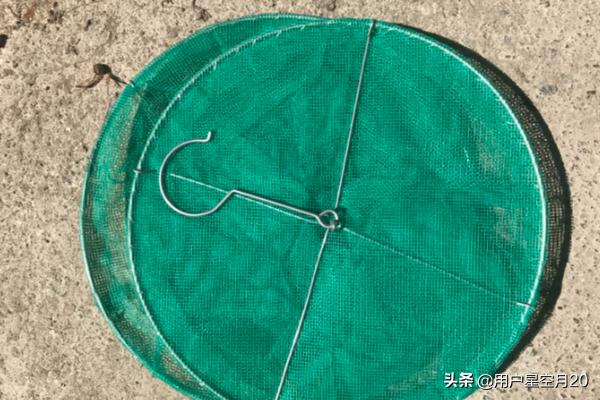 悬挂式捕蝇笼放置技巧,第1张