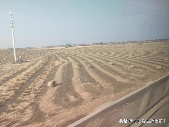 团队旅游一定要跟团吗