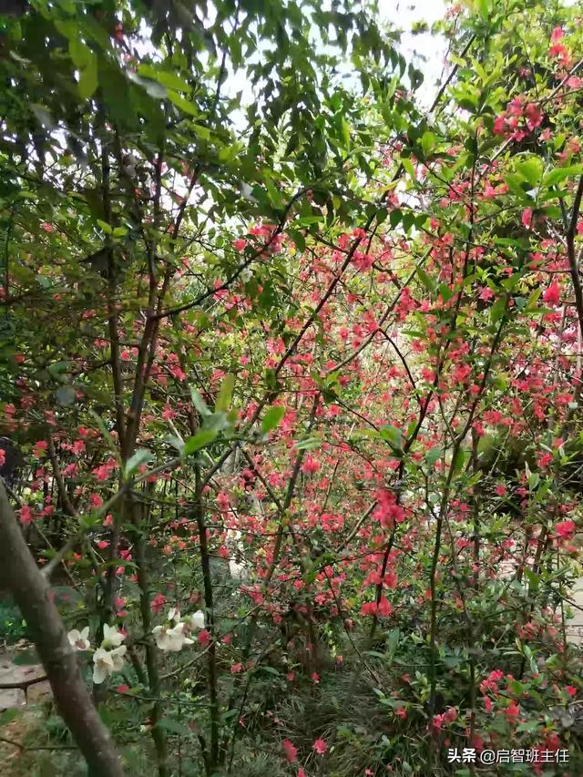 天津河西哪个楼盘最好的