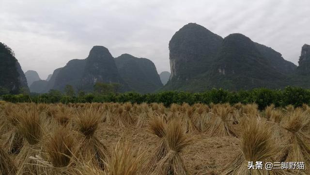 全球最受欢迎旅游城市,全球最受欢迎旅游城市排名出炉