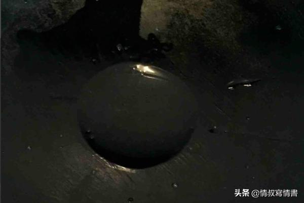 炒花甲的做法-炒花甲的做法步骤