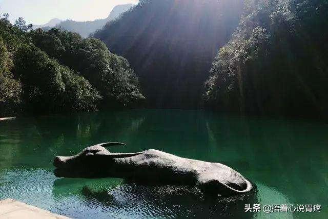 泰顺松阳旅游景点大全排名， 泰顺县松阳乡