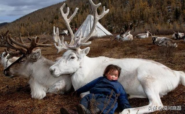 漠河必去的景点推荐理由(图4)