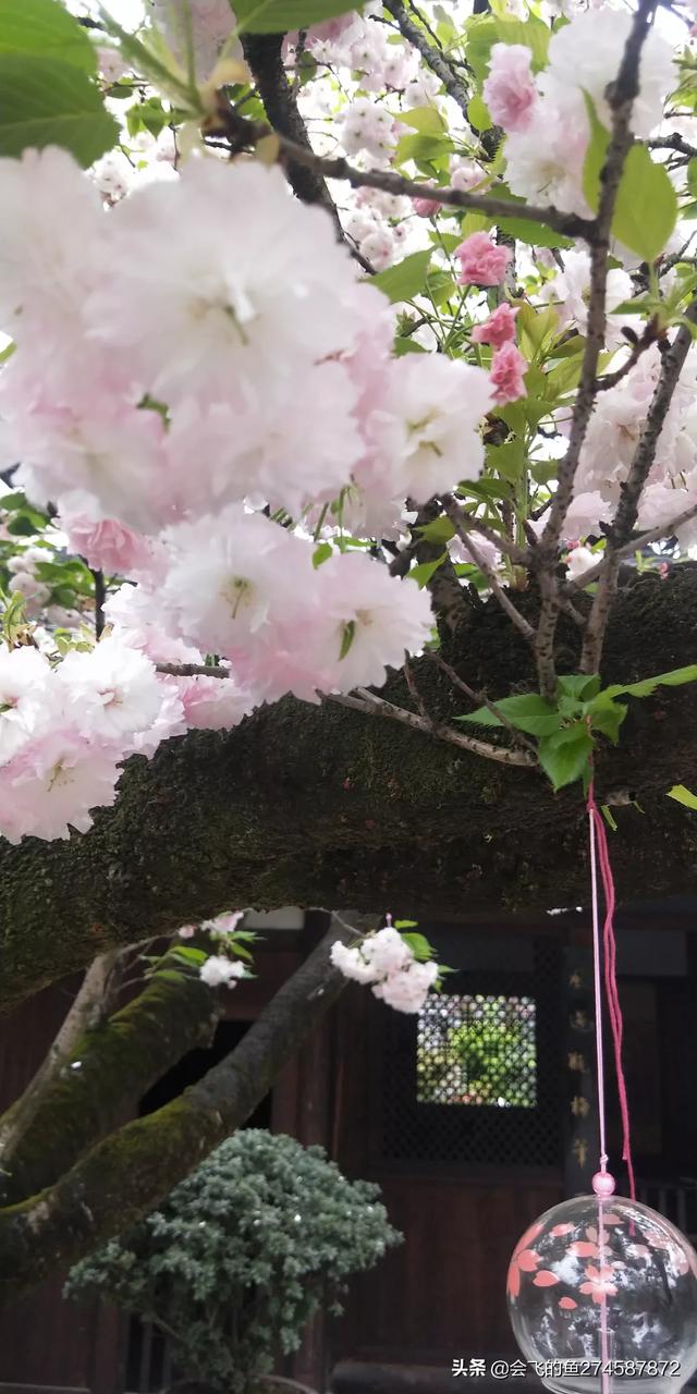 国内必去10大景点拍照(图65)